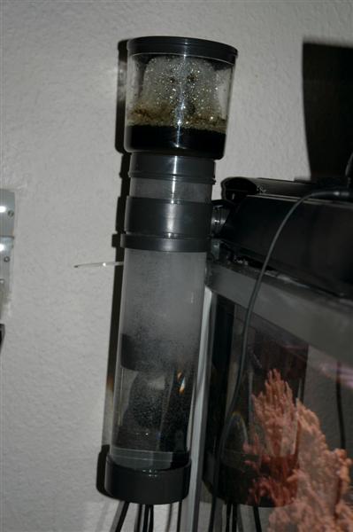 250L2x (Medium).jpg