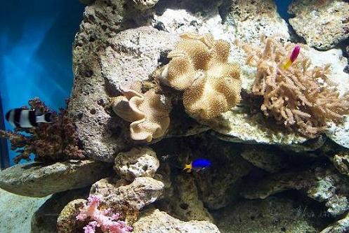 100_2345.JPG