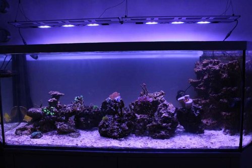 FTS_aften_edit.jpg