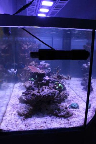 FTS_side_edit.jpg