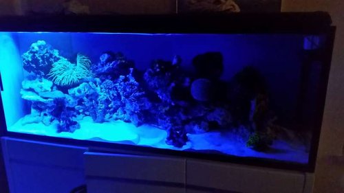 2016-08-06 22.56.09.jpg