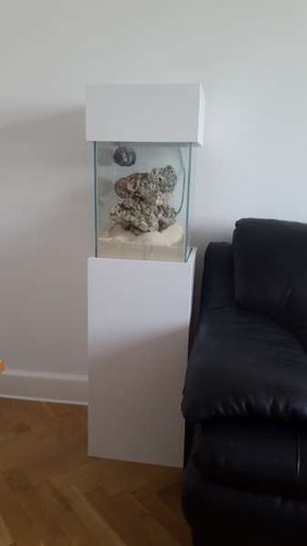 20160805_081943.jpg