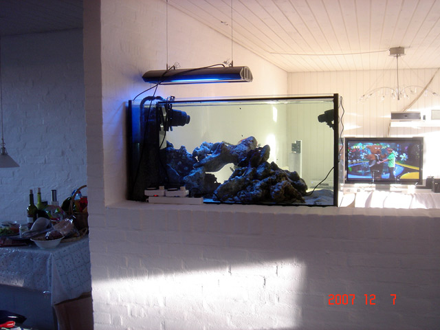 DSC08122.jpg