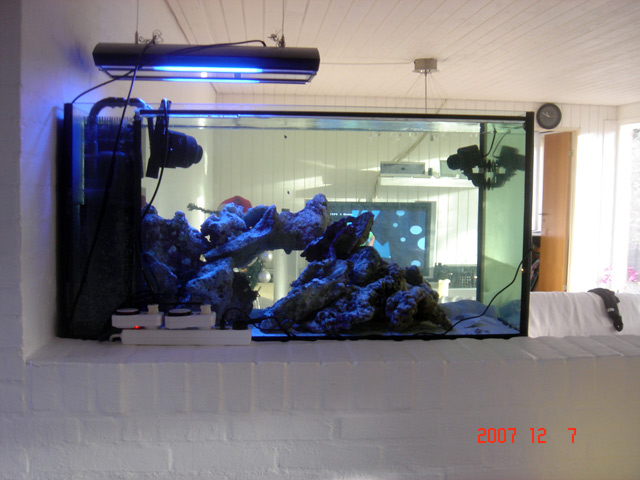 DSC08092.jpg