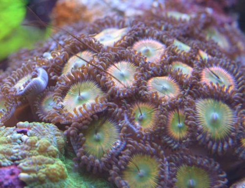 DSC_1064.jpg