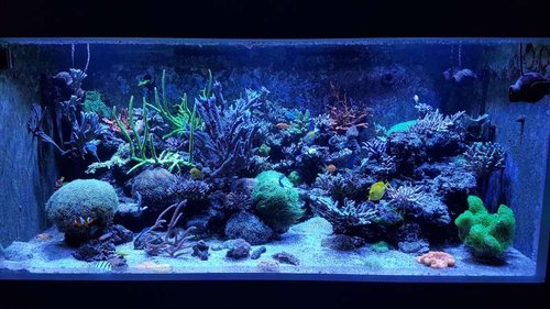 20161002_194044.jpg
