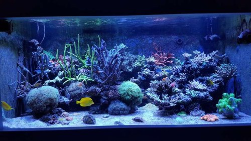 20161123_185220.jpg