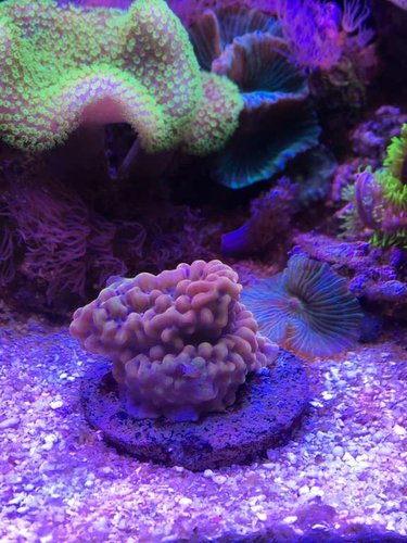 Slowburn <3 total ynglings