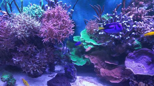 20170121_100830.jpg