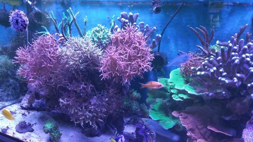20170121_100911.jpg