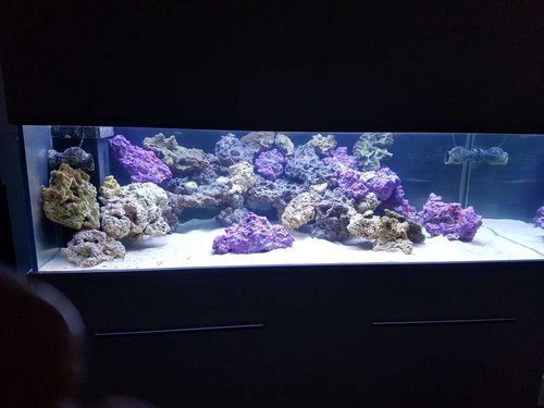 20170128_165552.jpg