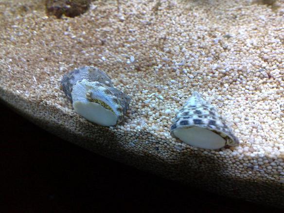 05012008157.jpg