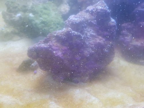 20170204_154433.jpg