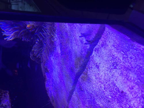 IMG_3616.JPG