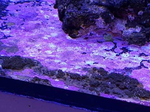 20170212_212733.jpg