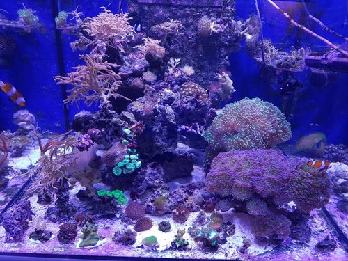 20170212_212802.jpg