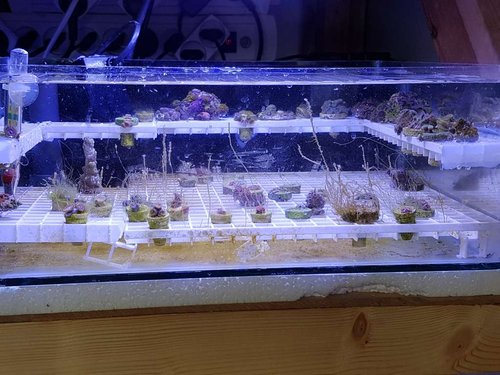 20170315_160208.jpg