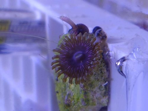 20170315_160012.jpg