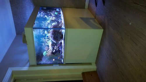 20161203_180245.jpg