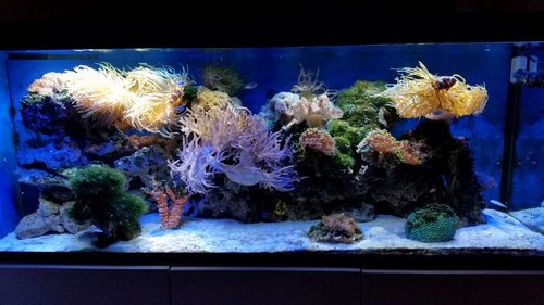 2017-03-18 21.57.19.jpg
