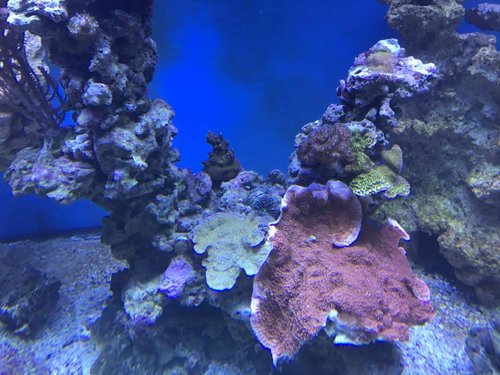 IMG_0747.JPG