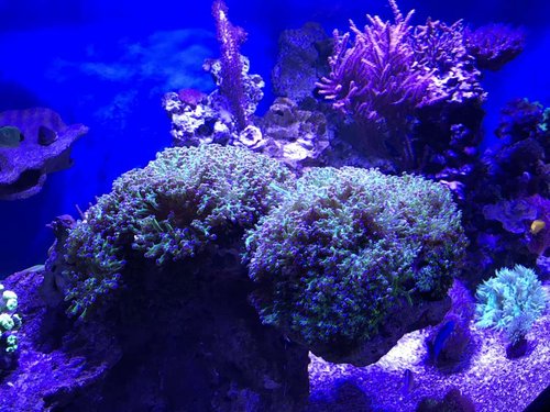 IMG_1292.JPG