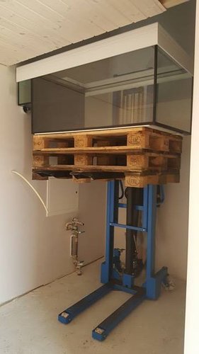 nesten på toppen.jpg