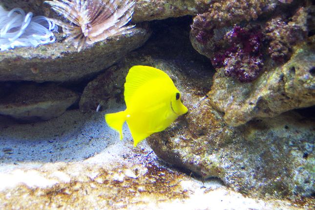 100_2452.JPG