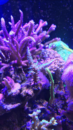 IMG_5856.PNG