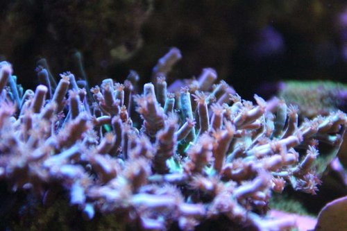 IMG_1643.JPG