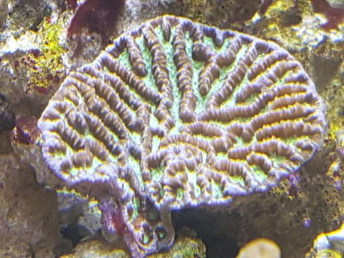 20170713_160648.jpg