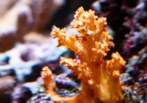 DSC01039.jpg