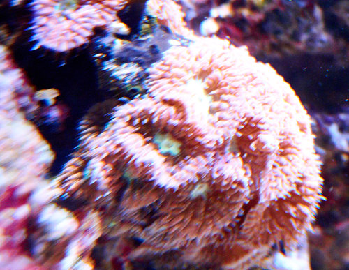 DSC01031.jpg