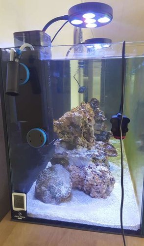 20170724_121105.jpg