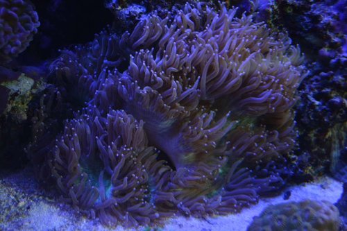 DSC_0586.JPG