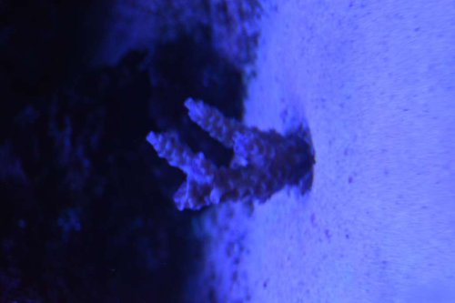 DSC_0665.JPG