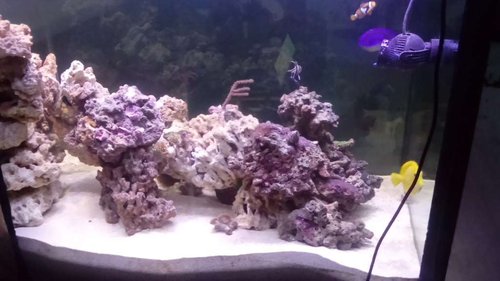 DSC_0204.JPG
