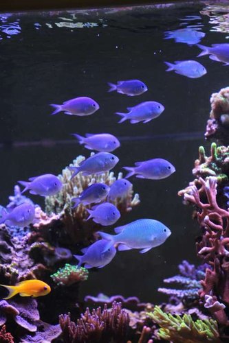 IMG_2674.JPG