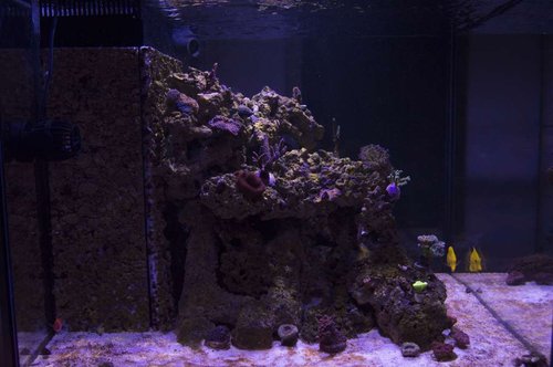 DSC_0068a.JPG