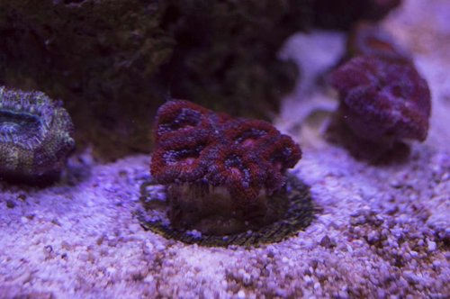 DSC_0010a.JPG