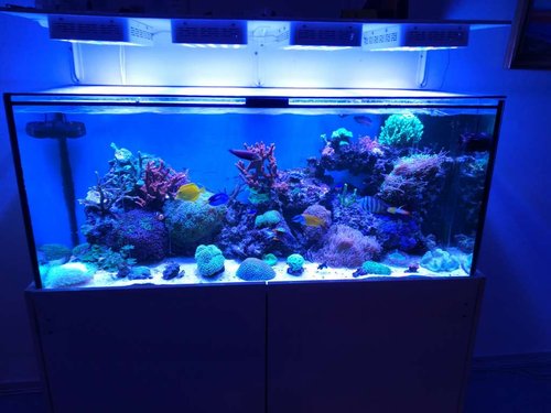 IMG_20171027_205406.jpg