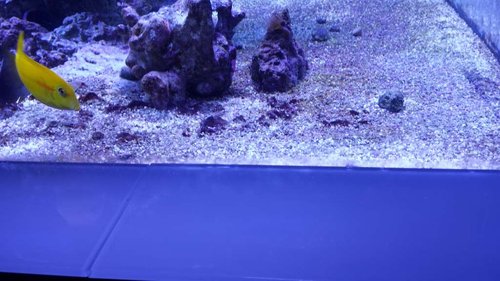 20171112_210703.jpg