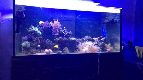 D3B95235-C001-44AE-A112-79EB9F1C2410.jpeg