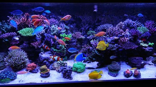 DSC_0132.JPG