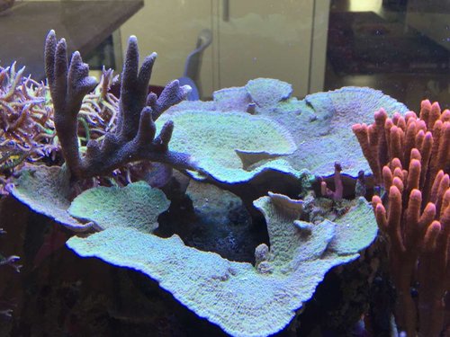 foto21.JPG