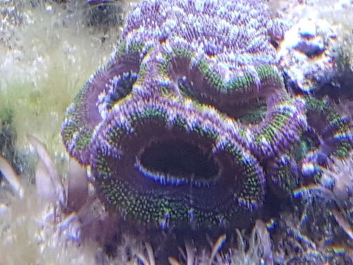 20171203_182322.jpg