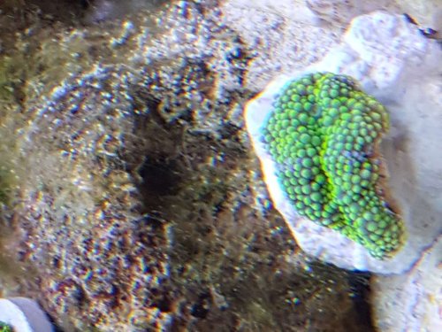 20171214_110429.jpg