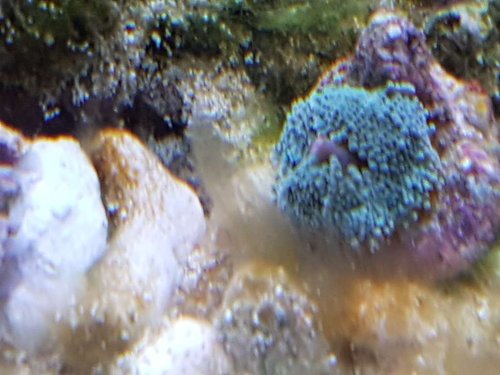 20171214_110434.jpg