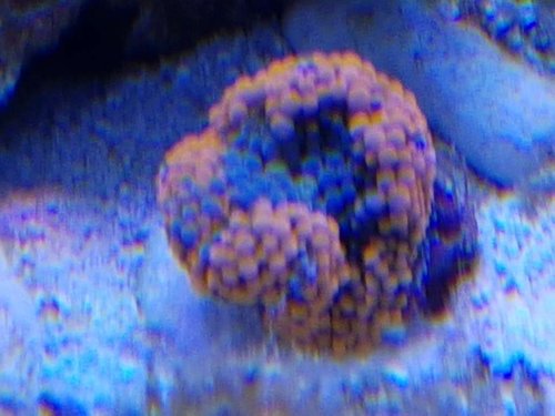 20171216_132238.jpg