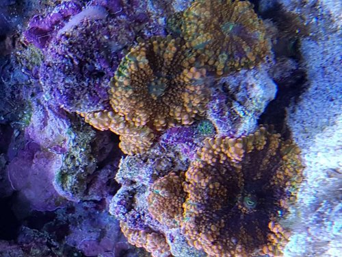 20171228_161206.jpg